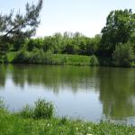 Pohled na Lipanský rybník od západu