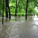 Zaplavená Prknovka